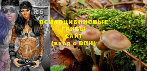 дурь Дмитриев