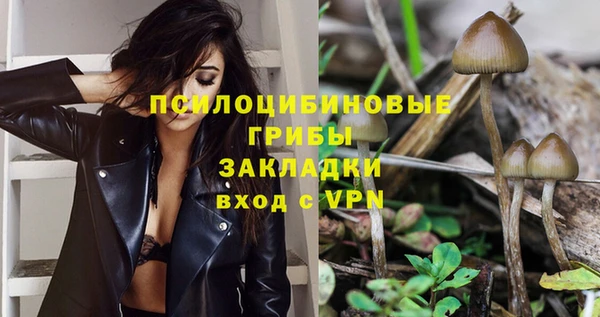 таблы Дмитровск